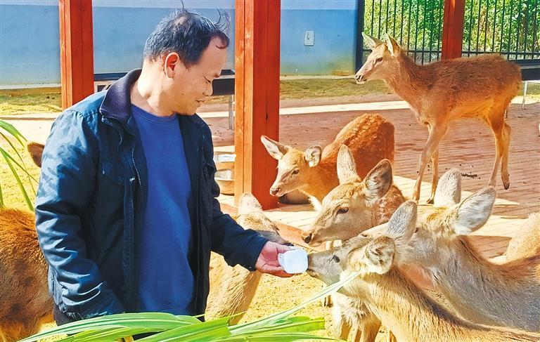 发展产业调研】林下生金AG真人百家乐【高质量(图1)